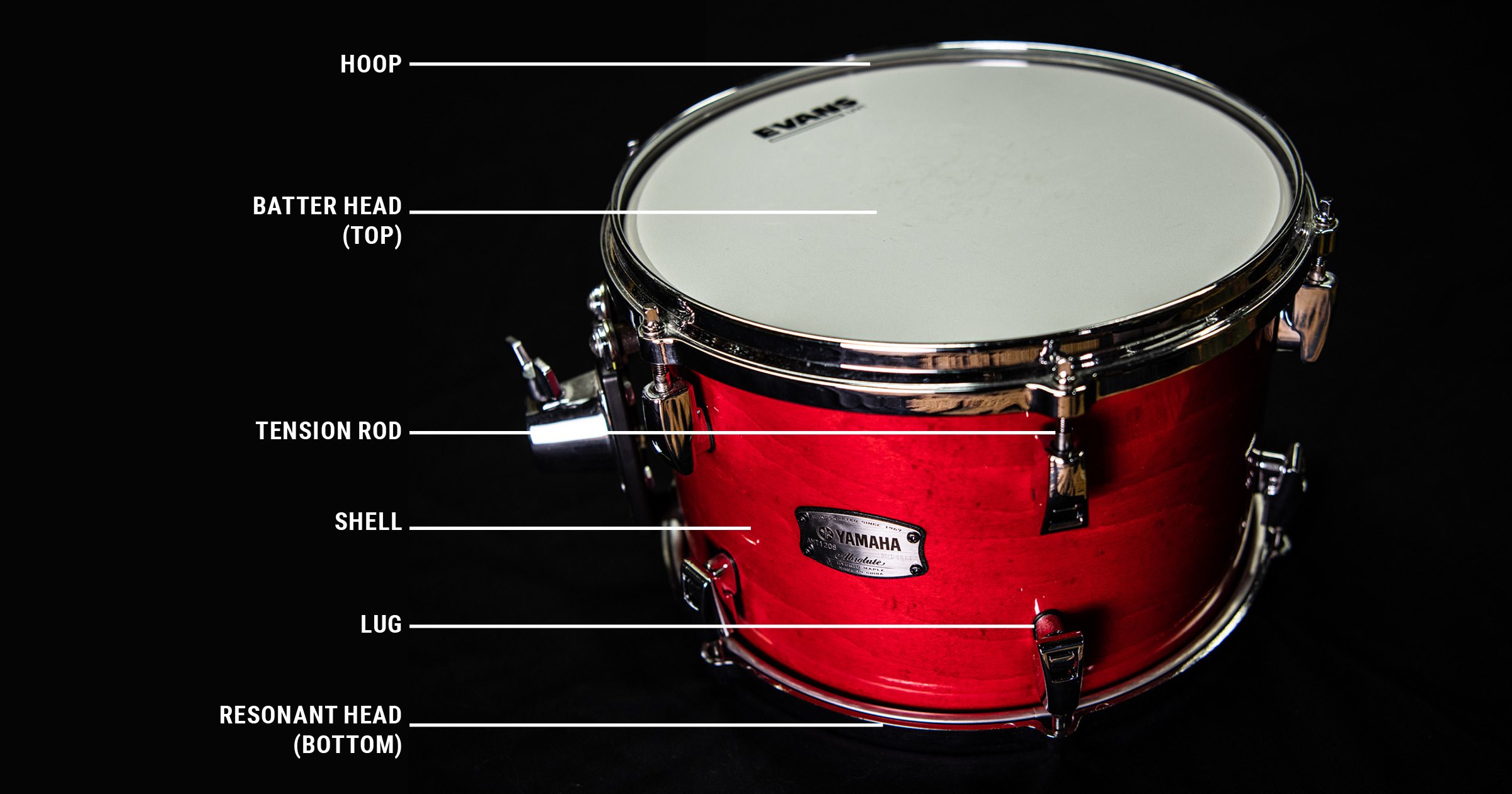 blog graphics labeled tom 1