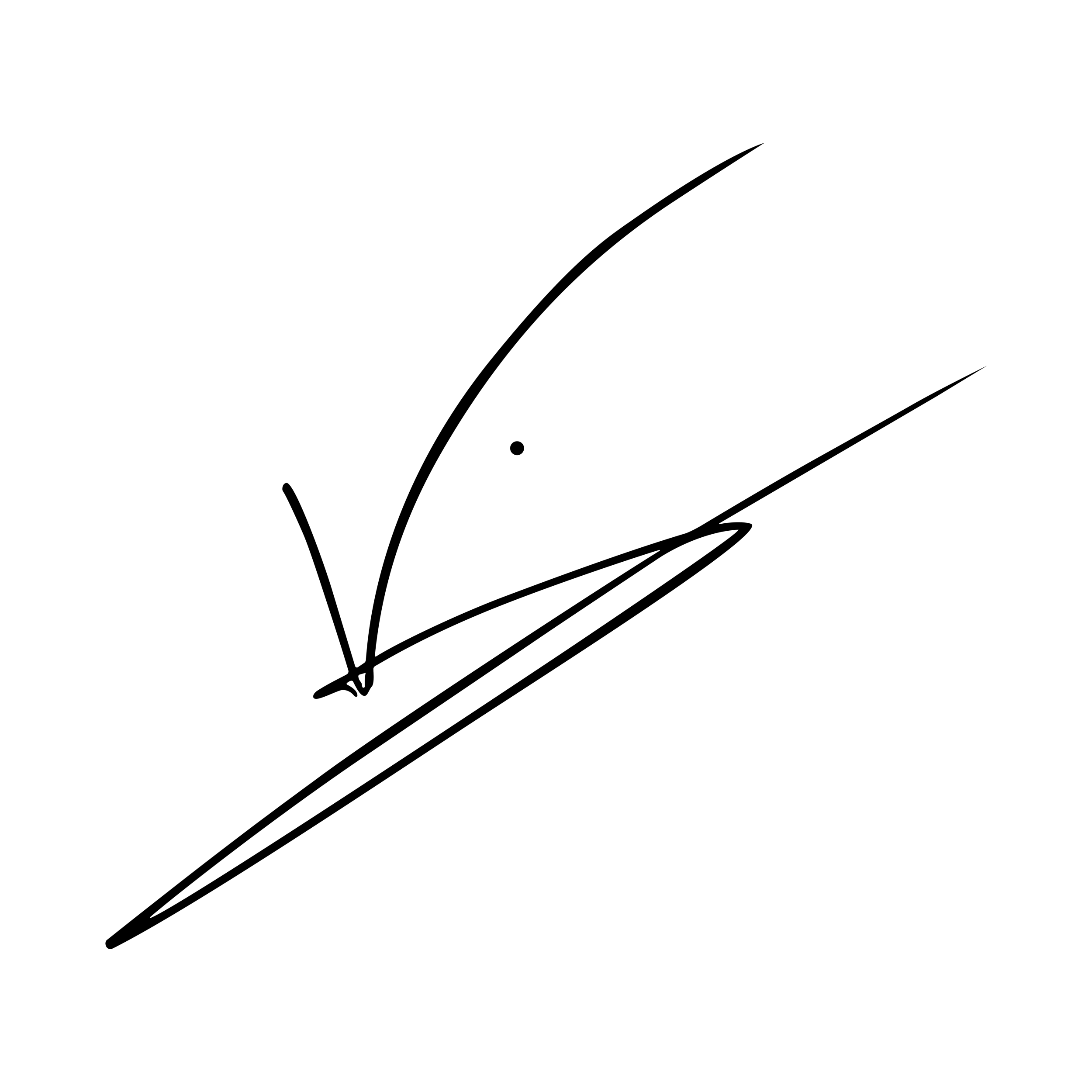 Signature 1