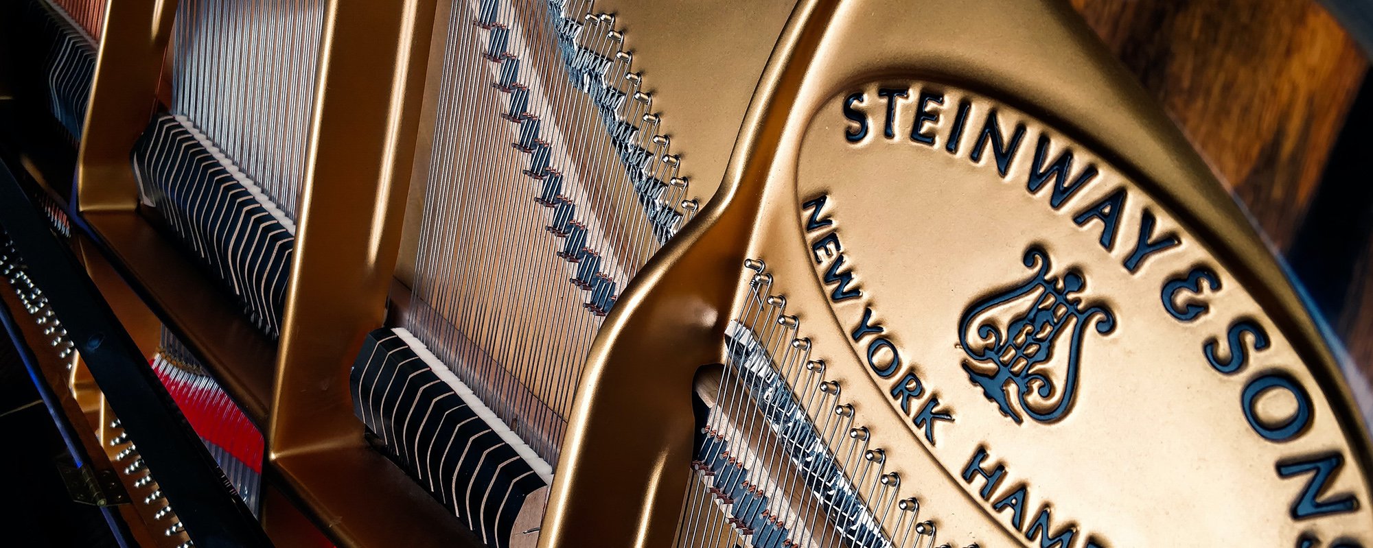 Close-up of the inside of a grand piano's strings - Steinway and Sons label.
