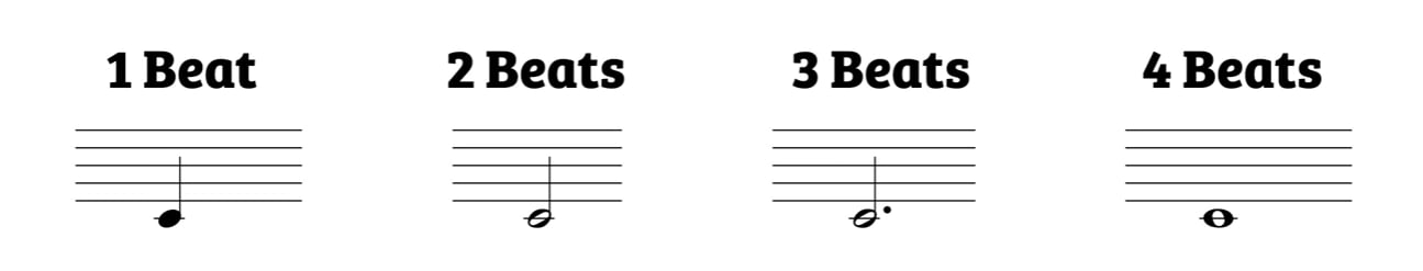 Different note values. Quarter note is worth 1 beat and colored in. Half note is not colored in worth 2 beats. Dotted half note is half note with dot worth 3 beats. Whole note is not colored in note without stem, worth 4 beats.