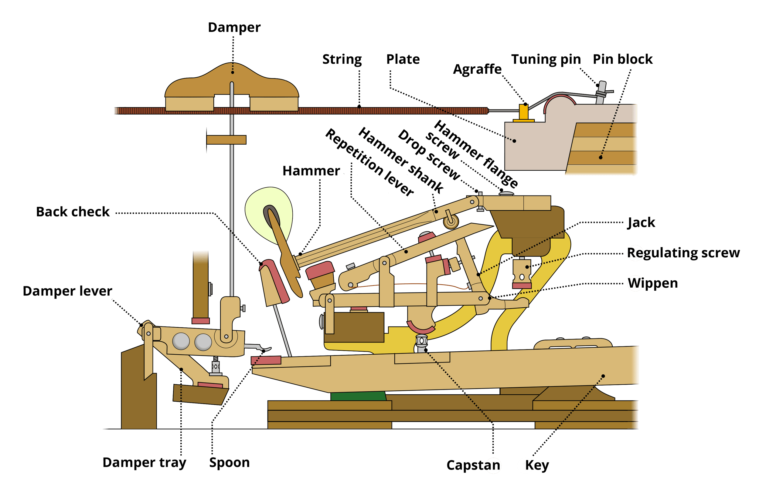 How does a piano work? Inside diagram of piano action mechanism.