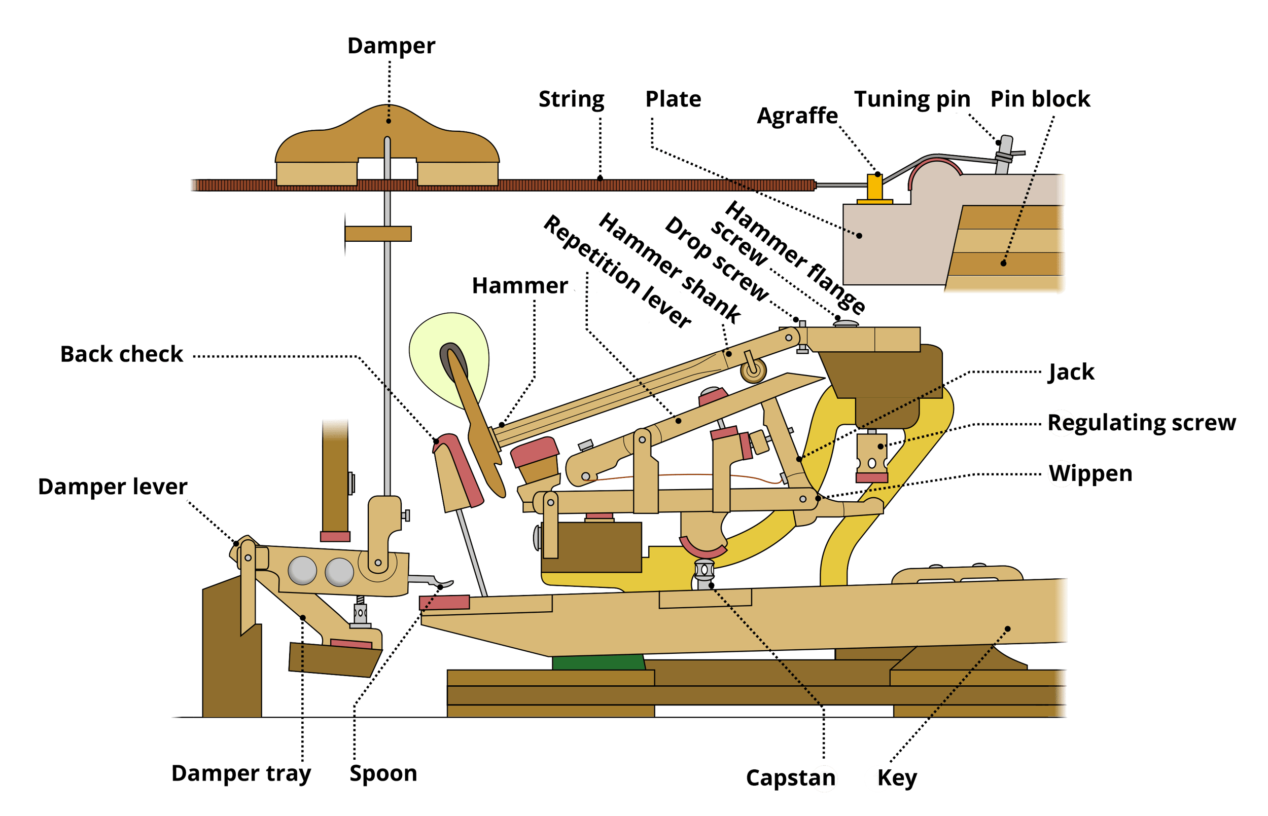 grand piano keys diagram