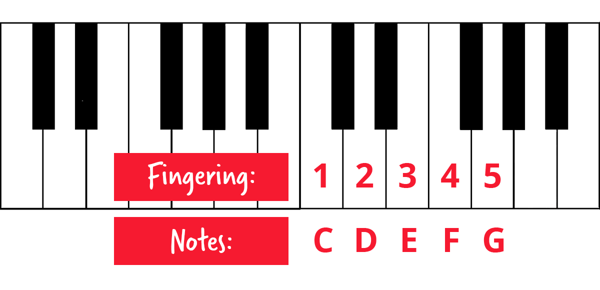 Learning piano as an adult. Keyboard diagram with notes labelled CDEFG and fingering labelled 12345. C is bottom left of group of two black keys.
