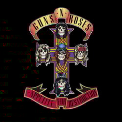 Guns N' Roses img