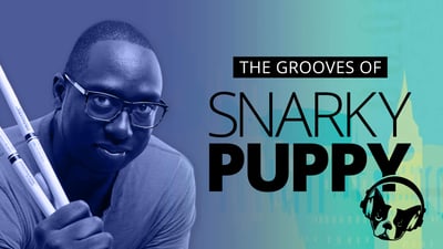 The Grooves of Snarky Puppy img
