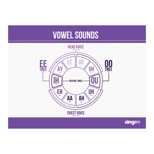 Vowel Practice Poster thumbnail