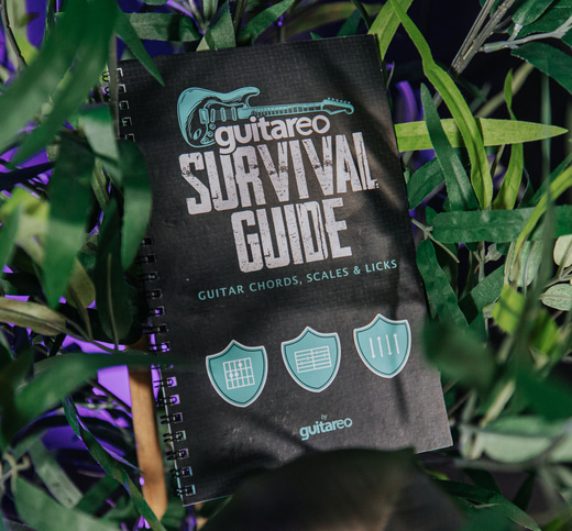 Guitareo Survival Guide thumbnail