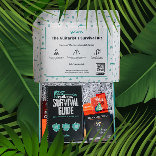 Guitarist's Survival Kit thumbnail